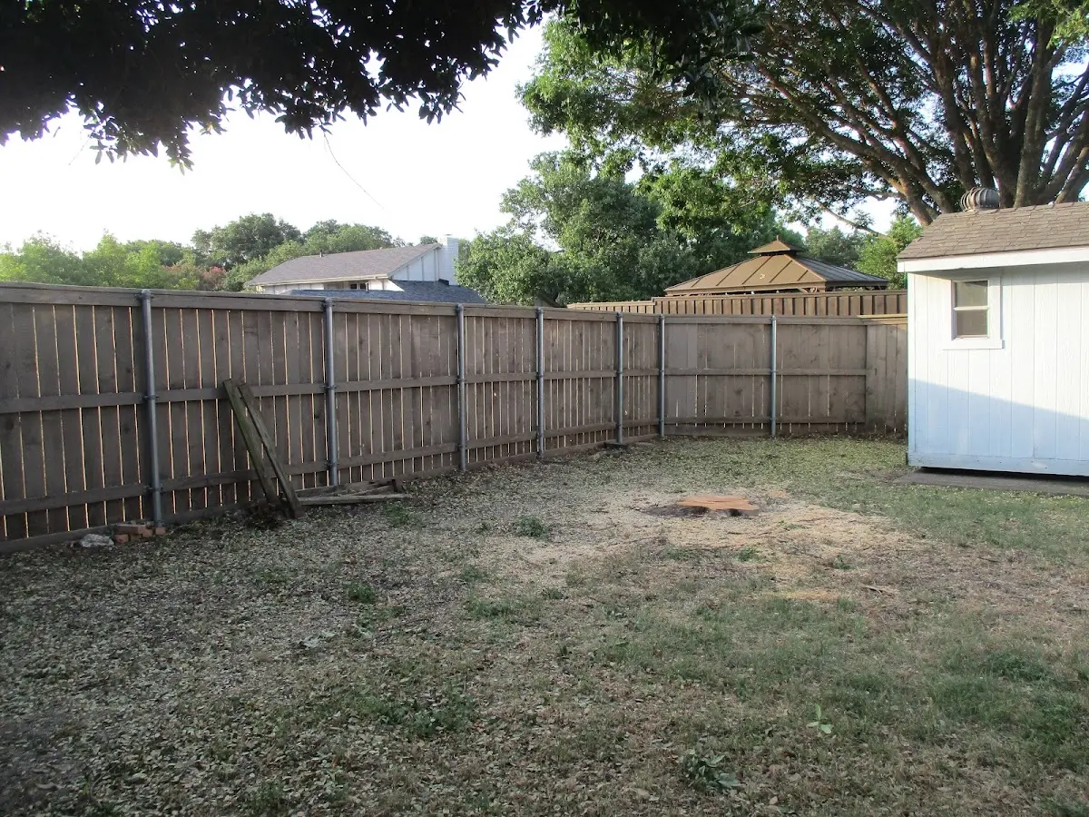 Cleared yard after professional tree removal in Ducktown